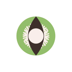 I-Contact Cosplay Halloween Contact Lenses Reptile