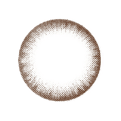 NEO Extra Dali Chocolate Colored Contact Lenses 6 months disposable (1 Pack)