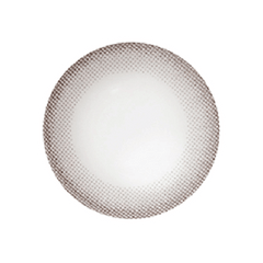 NEO Natural Monet Gray Toric Colored Contact Lenses 6 months disposable (1 Lens)