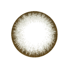 NEO Extra Dali Gray Colored Contact Lenses 6 months disposable (1 Pack)