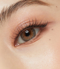 OLENS 1 Day French Gold 3con Gray (10 Pack)