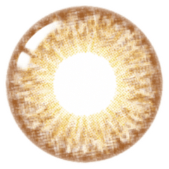 Lenstown 247 Fit 1-Day Brown (10 Pack)