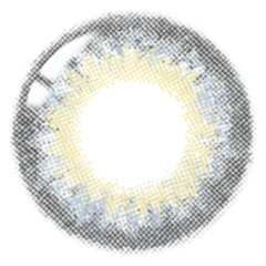 Lenstown 1-Day 247 Diary Gray (10 Pack)