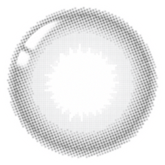 Lenstown Elly Basic Black Monthly (1 Pack)