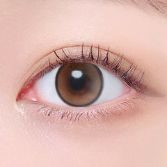 Lenstown Beloved Royal Brown (2 Pack)