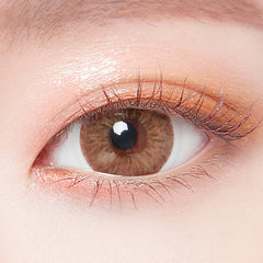 Lenstown 247 Fit 1-Day Brown (10 Pack)