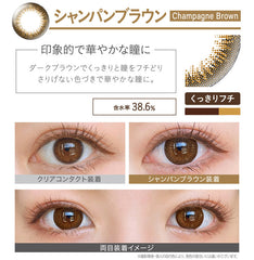 EverColor 1 Day 1 Day Color Contact lenses Natural Champagne Brown (20p)