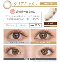 EverColor 1 Day Natural Clear Camel Circle Lenses (20p)