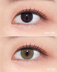 Olens 1-Day French Shine Olive (10 Pack)