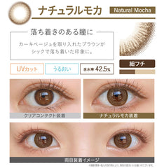 EverColor 1 Day Natural Mocha Circle Lenses (20p)