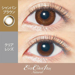 EverColor 1 Day 1 Day Color Contact lenses Natural Champagne Brown (20p)