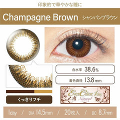 EverColor 1 Day 1 Day Color Contact lenses Natural Champagne Brown (20p)