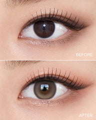 OLENS 1-Day Muse Shine Brown (10 Pack)