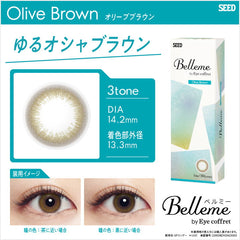 SEED Eye Coffret Belleme 1 Day Olive Brown (30p)