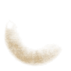 Lenstown Joy Brown Nude Brown Colored Contacts Monthly (2 Pack)