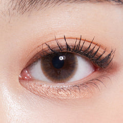 Lenstown Precollege Brown Monthly Colored Contacts (1 Pack)