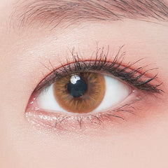 Lenstown Dodo Brown Colored Contact Lenses (1 Pack)