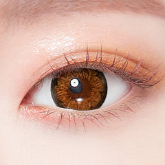Lenstown Cubic Brown Y33 Monthly Contact Lenses (1 Pack)