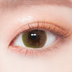 Lenstown 1-Day Lighly Vanada Orange Brown (20 Pack)