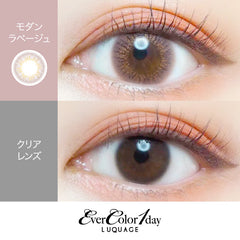 EverColor 1 Day LUQUAGE Modern Labeige Japanese color lenses (10p)