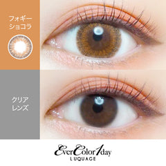 EverColor 1 Day LUQUAGE Foggy Chocolat Japanese color lenses (10p)