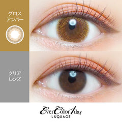 EverColor 1 Day LUQUAGE Gloss Amber Japanese color lenses (10p)