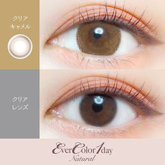 EverColor 1 Day Natural Clear Camel Circle Lenses (20p)