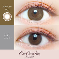 EverColor 1 Day Natural Mocha Circle Lenses (20p)