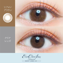 EverColor 1 Day Natural Moist Label Chiffon Brown (20p)