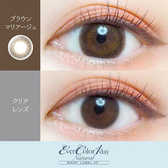 EverColor 1 Day Natural Moist Label Brown Mariage (20p)