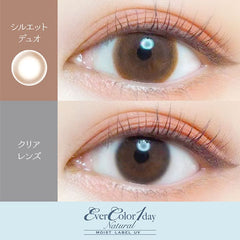 EverColor 1 Day Natural Moist Label Silhouette Duo (20p)