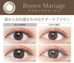 EverColor 1 Day Natural Moist Label Brown Mariage (20p)