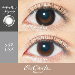 EverColor 1 Day Color Contact lenses Natural Black (20p)