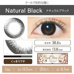 EverColor 1 Day Color Contact lenses Natural Black (20p)