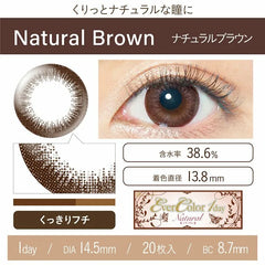 EverColor 1 Day 1 Day Color Contact lenses Natural Brown (20p)