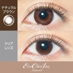 EverColor 1 Day 1 Day Color Contact lenses Natural Brown (20p)