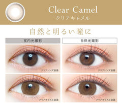 EverColor 1 Day Natural Clear Camel Circle Lenses (20p)