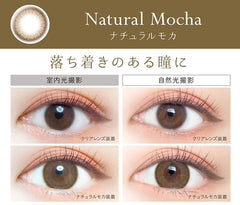 EverColor 1 Day Natural Mocha Circle Lenses (20p)